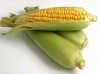 pcenka