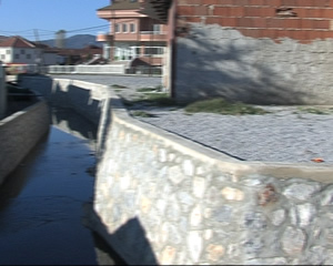 Grashnica