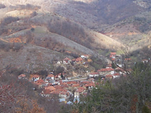 kuratica