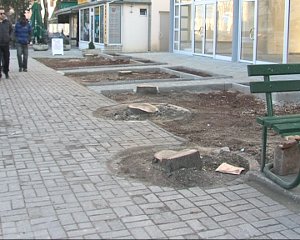 iseceni stebla