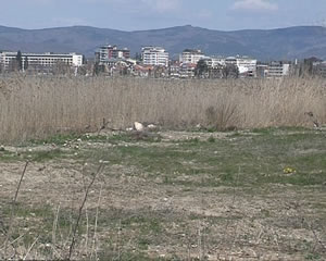 zemjishte
