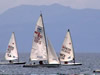 edrilici