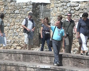 vodici