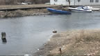 kanal