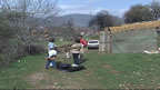 mitrevi
