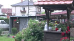 dvor