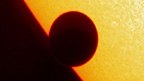 venus