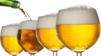 pivo