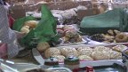 delikatesi
