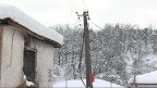 kuratica