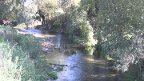 Koselska reka
