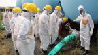 fukushima