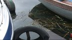 kanal studencista