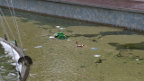 fontana