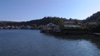 lin albanija