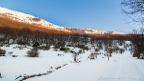 korita
