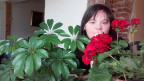 Anastazija