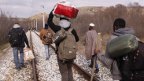 migranti