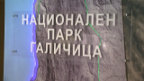 galicica