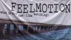 feelmotion