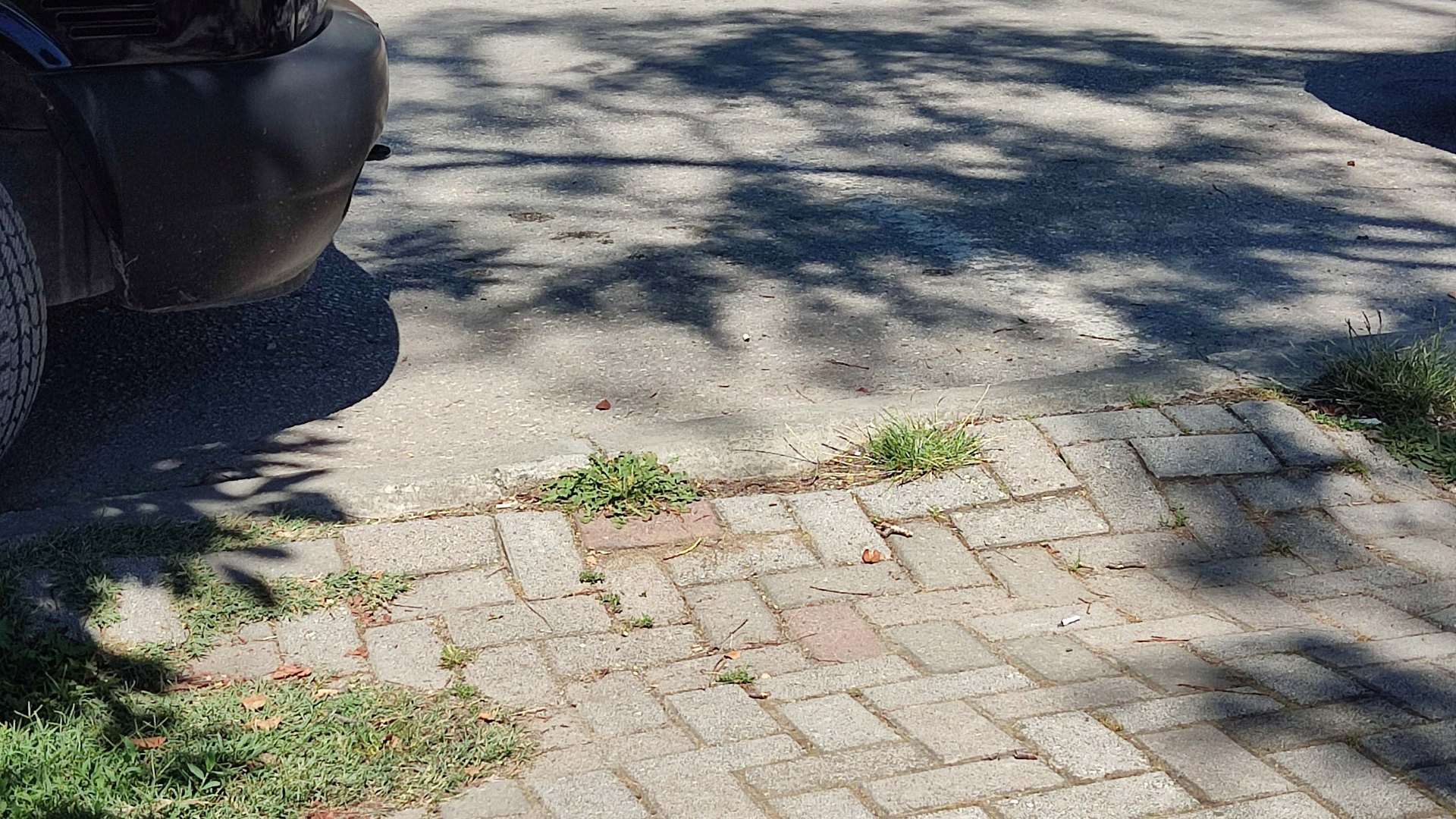 Кеј