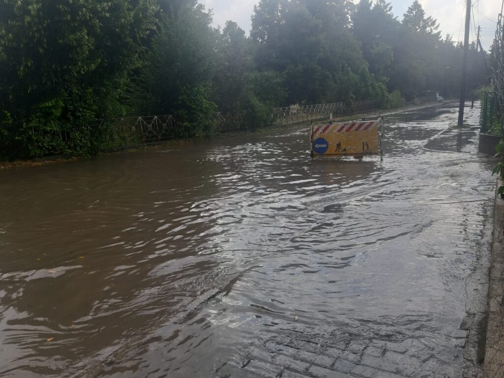 Поплава Кленоец