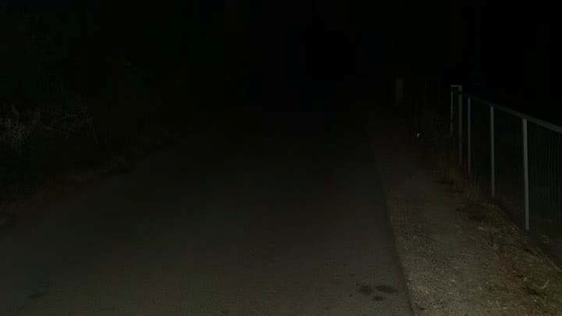 Орман