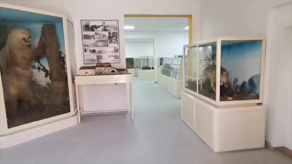 Музеј Струга