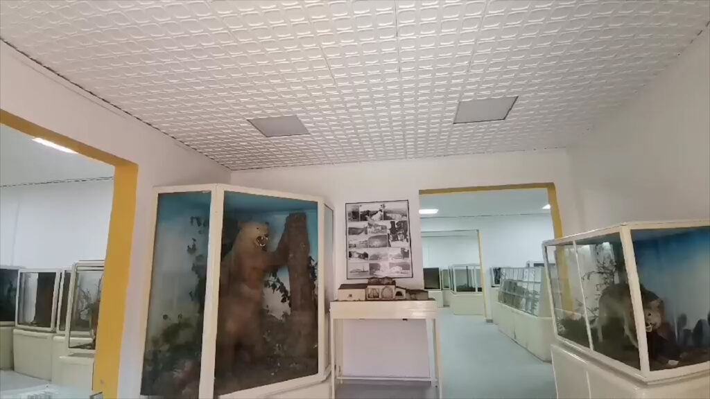 Музеј Струга