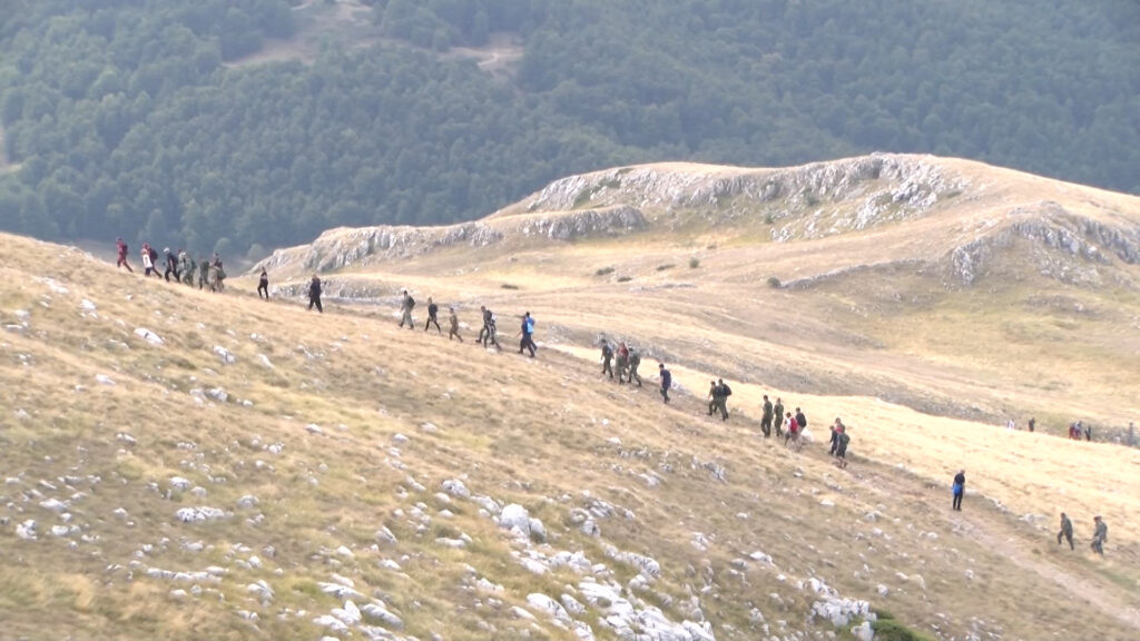 Нп галичица