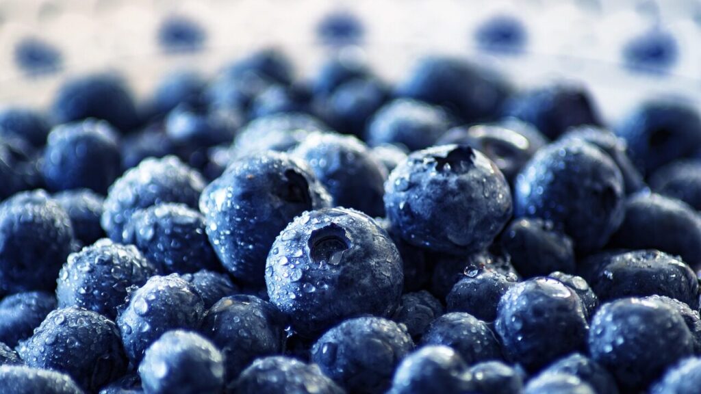 blueberries, fruit, healthy, nutrition, food, fresh, vitamins, berries, blueberries, blueberries, blueberries, blueberries, blueberries, fruit, fruit