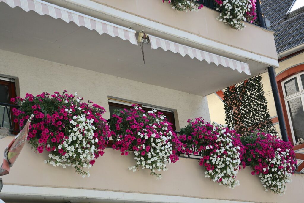 Balcony with abundant pink and white flowers