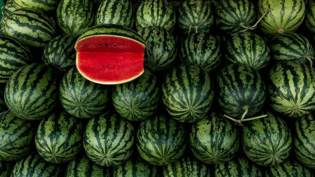 a large pile of watermelon with a piece of watermelon on top