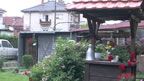 dvor