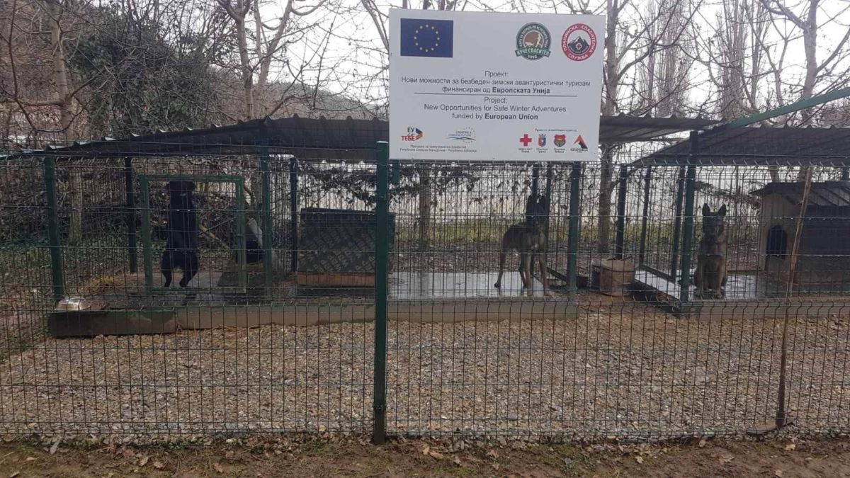 Боксови Куче спасител