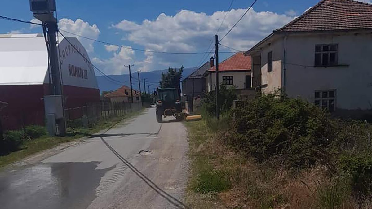 крајпатна вегетациај