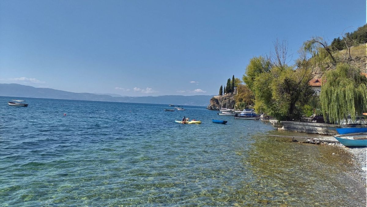 канео