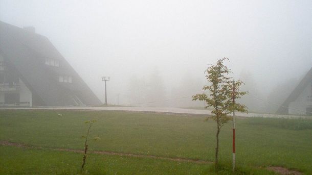 Магла